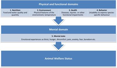 From the Five Freedoms to a more holistic perspective on animal welfare in the Dutch Animals Act